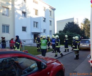Brandeinsatz in Bad Vöslau: Wohnungsbrand